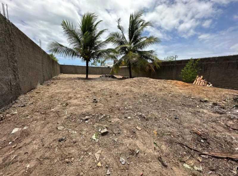 Lote RDLT00003 — Aruana