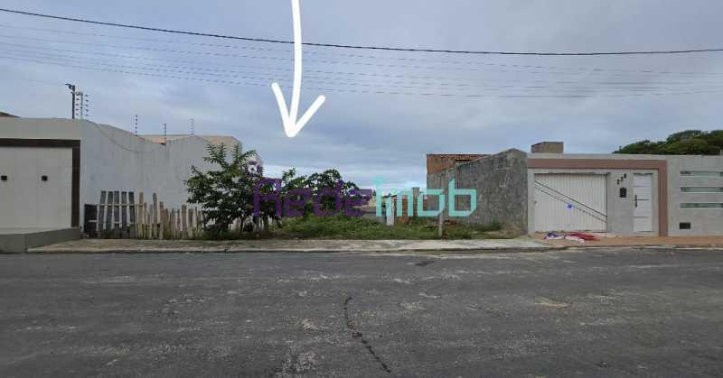 Lote RDLT00016 — Jabotiana